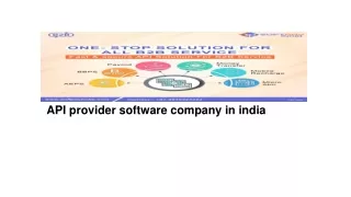 api provider software company in india