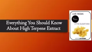 Everything You Should Know About High Terpene Extract