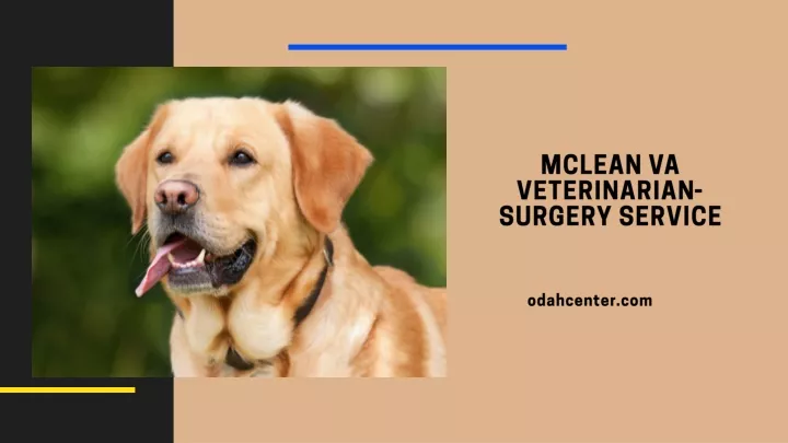 mclean va veterinarian surgery service