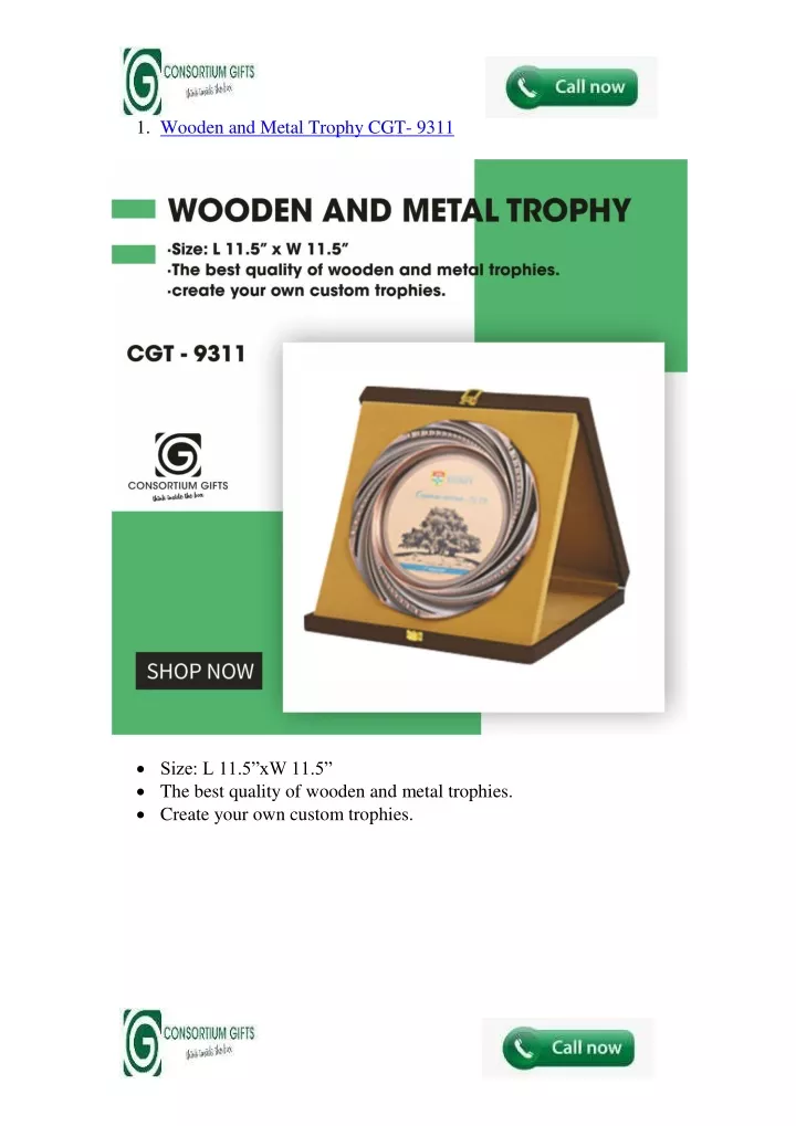 1 wooden and metal trophy cgt 9311