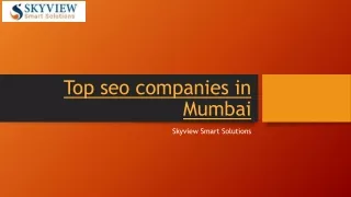 Top seo companies in Mumbai- Skyview Smart Solutions