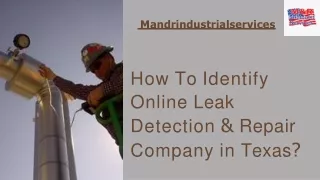How To Identify Online Leak Detection & Repair Company in Texas?