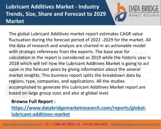 Lubricant Additives Market - Industry Trends, Size, Share and Forecast to 2029