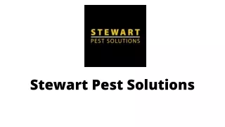 stewart pest solutions