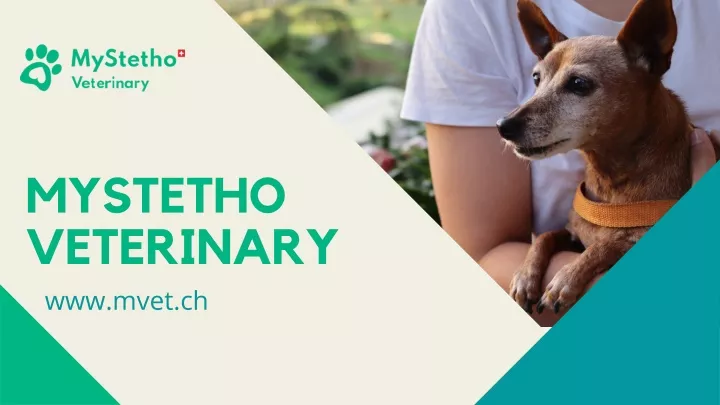 mystetho veterinary www mvet ch