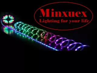 Discover the Marine led strip lights