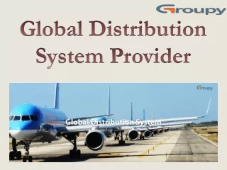 global distribution s ystem p rovider