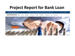 project report for bank loan