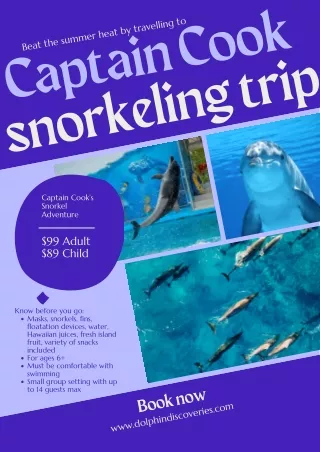 captain cook snorkeling