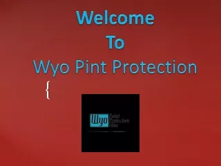 Paint Protection Film Cheyenne Wyoming | Wyo Paint Protection