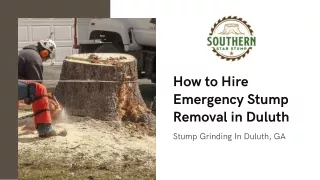 How to Hire Emergency Stump Removal in Duluth