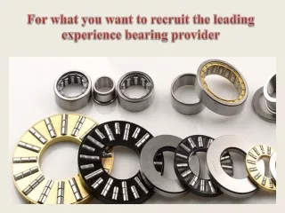 For what you want to recruit the leading experience bearing provider