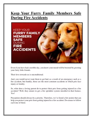 Keep Your Furry Family Members Safe During Fire Accidents