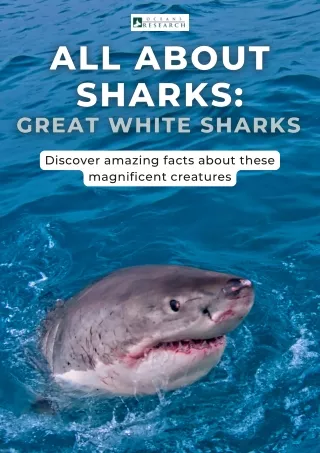 All about Sharks Great White Sharks