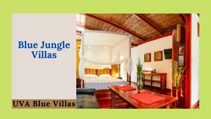 blue jungle villas