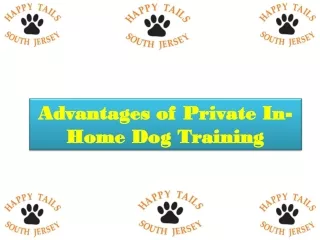Advantages of Private In-Home Dog Training