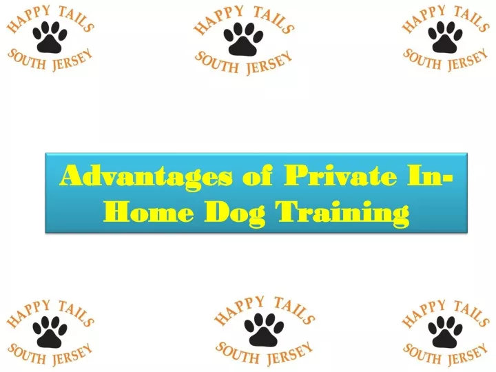 advantages of private in home dog training