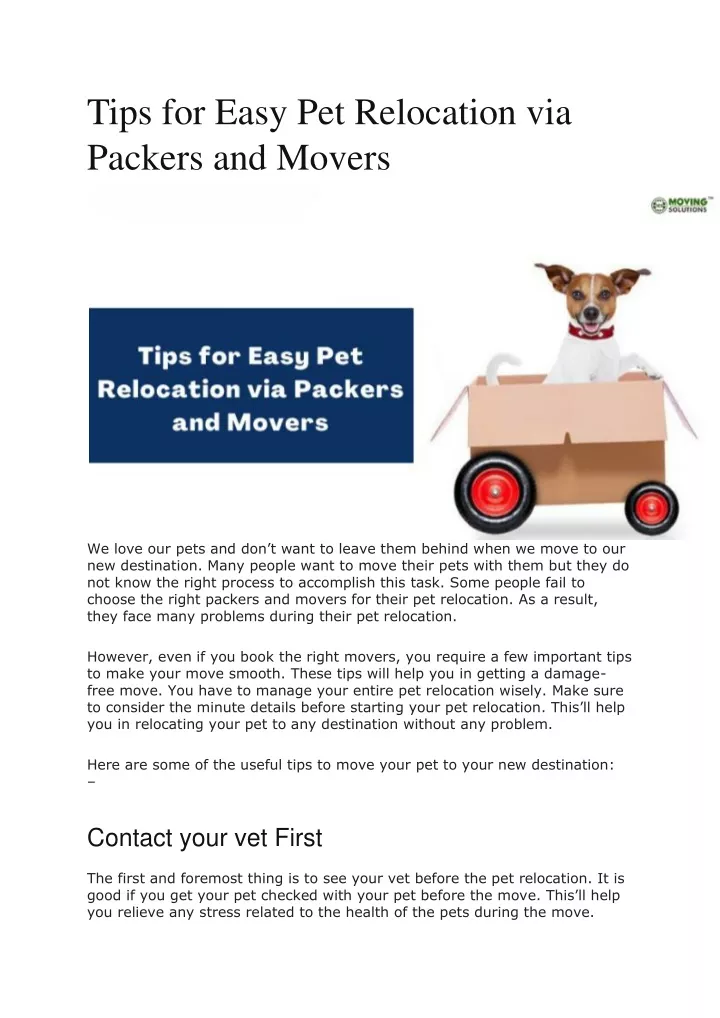tips for easy pet relocation via packers