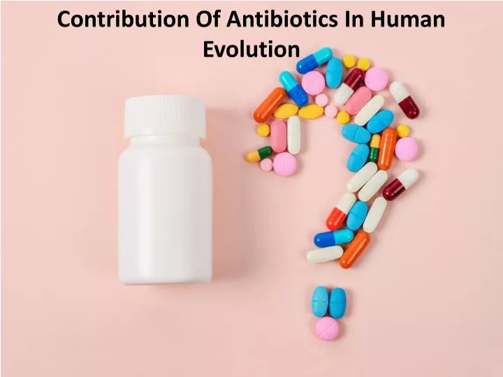 contribution of antibiotics in human evolution