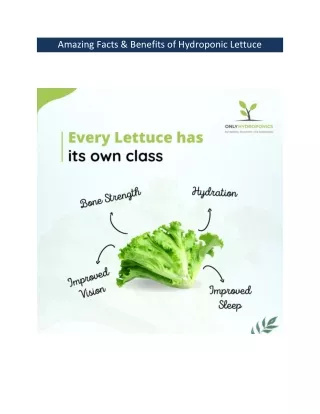 Grow Fresh & Healthy Lettuce in a Hydroponic System