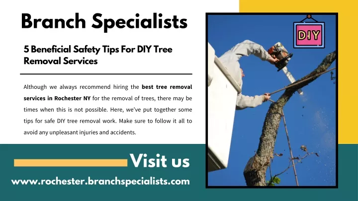 branch specialists