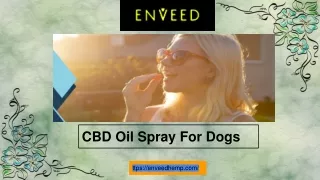 CBD Oil Spray For Dogs
