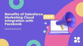 Benefits of Salesforce Marketing Cloud Integration with Facebook