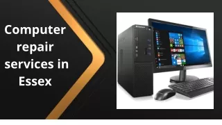 computer repair services in essex