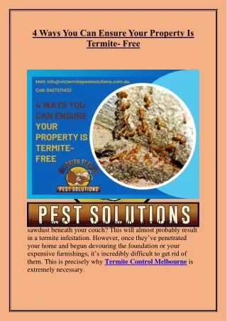 4 Ways You Can Ensure Your Property Is Termite- Free