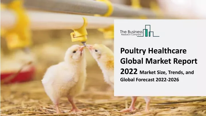 poultry healthcare global market report 2022