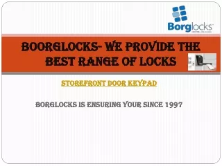 Borglocks Storefront Door Keypad
