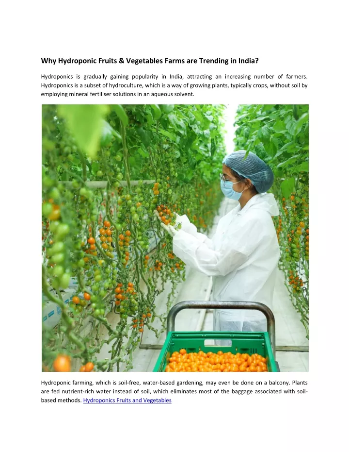 why hydroponic fruits vegetables farms