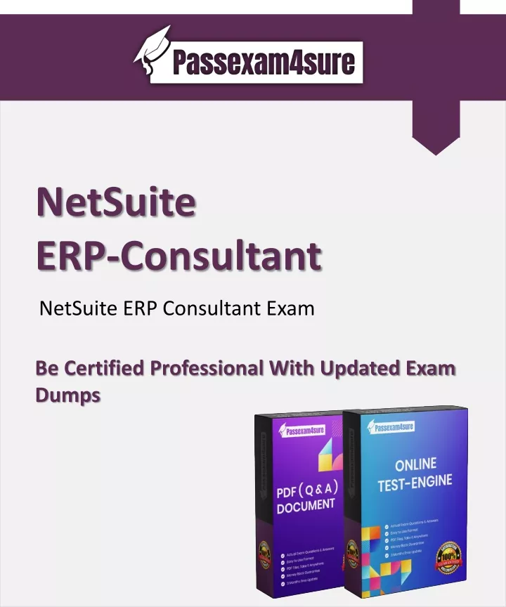 netsuite erp consultant