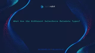 What Are the Different Salesforce Metadata Types