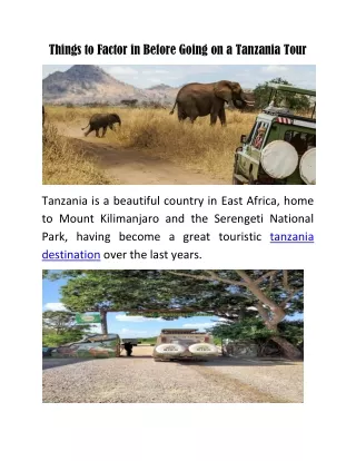Things to Factor in Before Going on a Tanzania Tour