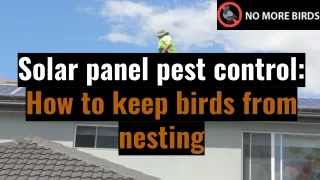 Solar Panel Pest Control -  How to keep birds from nesting