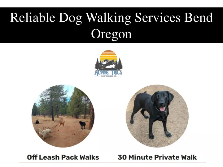 reliable dog walking services bend oregon