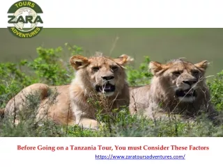 Before Going on a Tanzania Tour, You must Consider These Factors