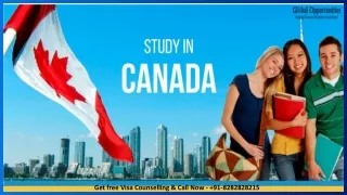 get free visa counselling call now 91 8282828215
