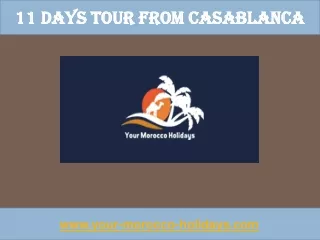 11 days tour from casablanca