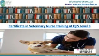 Career As a Veterinary Technician - Level 3 Veterinary Nurse Training
