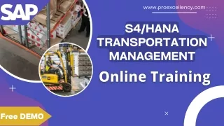 SAP S4HANA TM Online Training By Real-Time Consultant