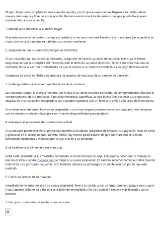 Tips de Mudanzas Economicas Madrid para realizar una mudanza organizada y sin es