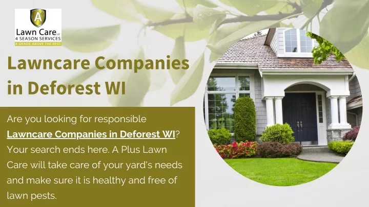 lawncare companies in deforest wi