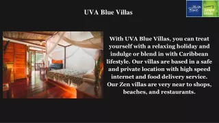 Enjoy Your Trip With Best Uva Blue Jungle Villas In Costa Rica