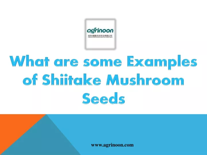 what are some examples of shiitake mushroom seeds