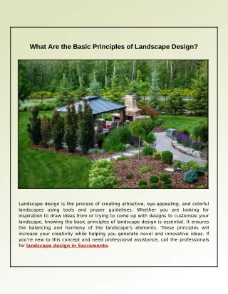 What Are the Principles in Designing Landscapes?