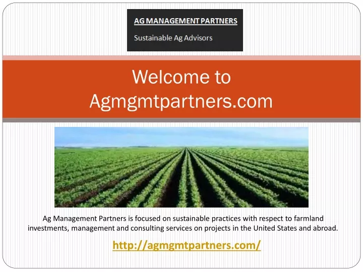 welcome to agmgmtpartners com