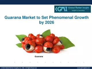 Guarana Market Global Industry, Growth, Trends and Forecasts to 2025