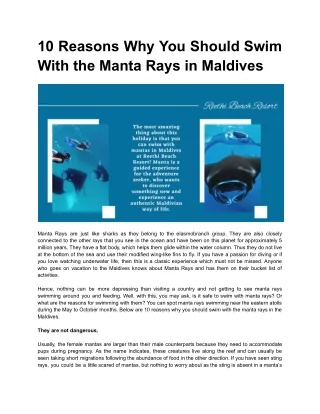 10 Reasons Why You Should Swim With the Manta Rays in Maldives - Reethi Beach